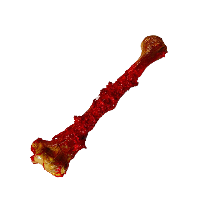 Realistic Lightweight Rigid Foam Humerus Prop - Gore - With Gore Effects