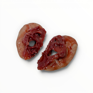Back view of two fake severed ears on a white background