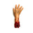 Severed Hand and Wrist - Foam Rubber with Gore Effects - Right - Right Hand