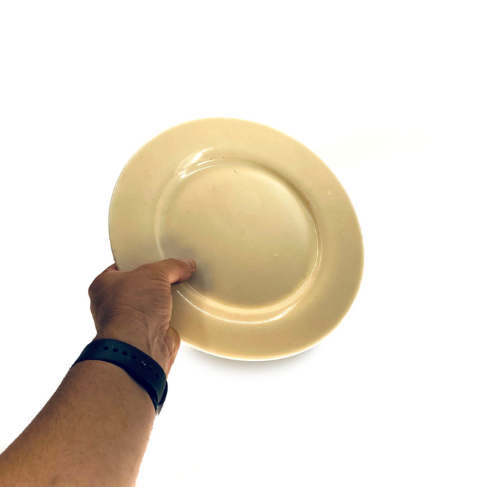 SMASHProps Breakaway Medium Dinner Plate - WHITE - White,Opaque