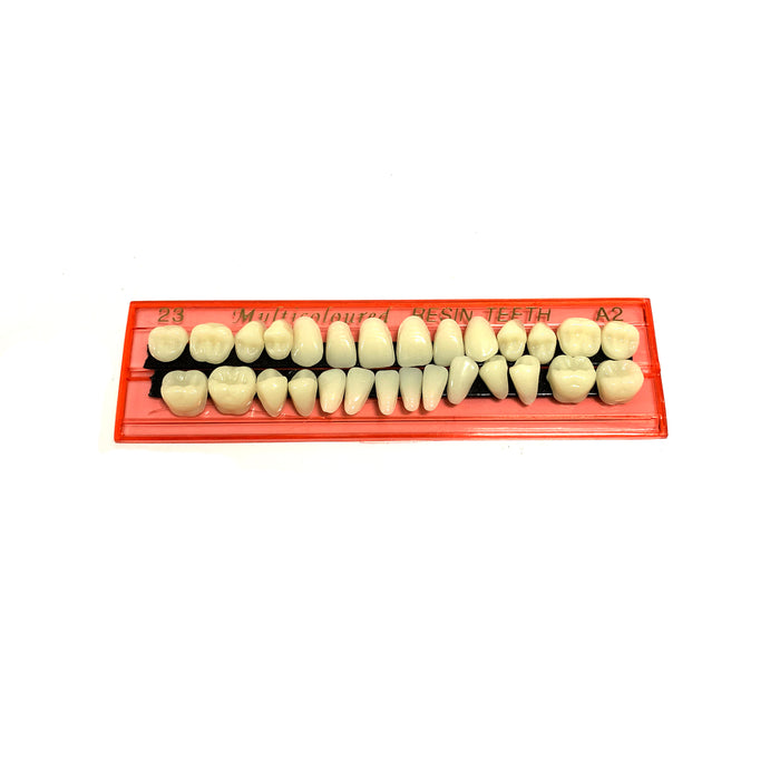 Professional Grade Fake Resin Teeth Set - 28 Pieces